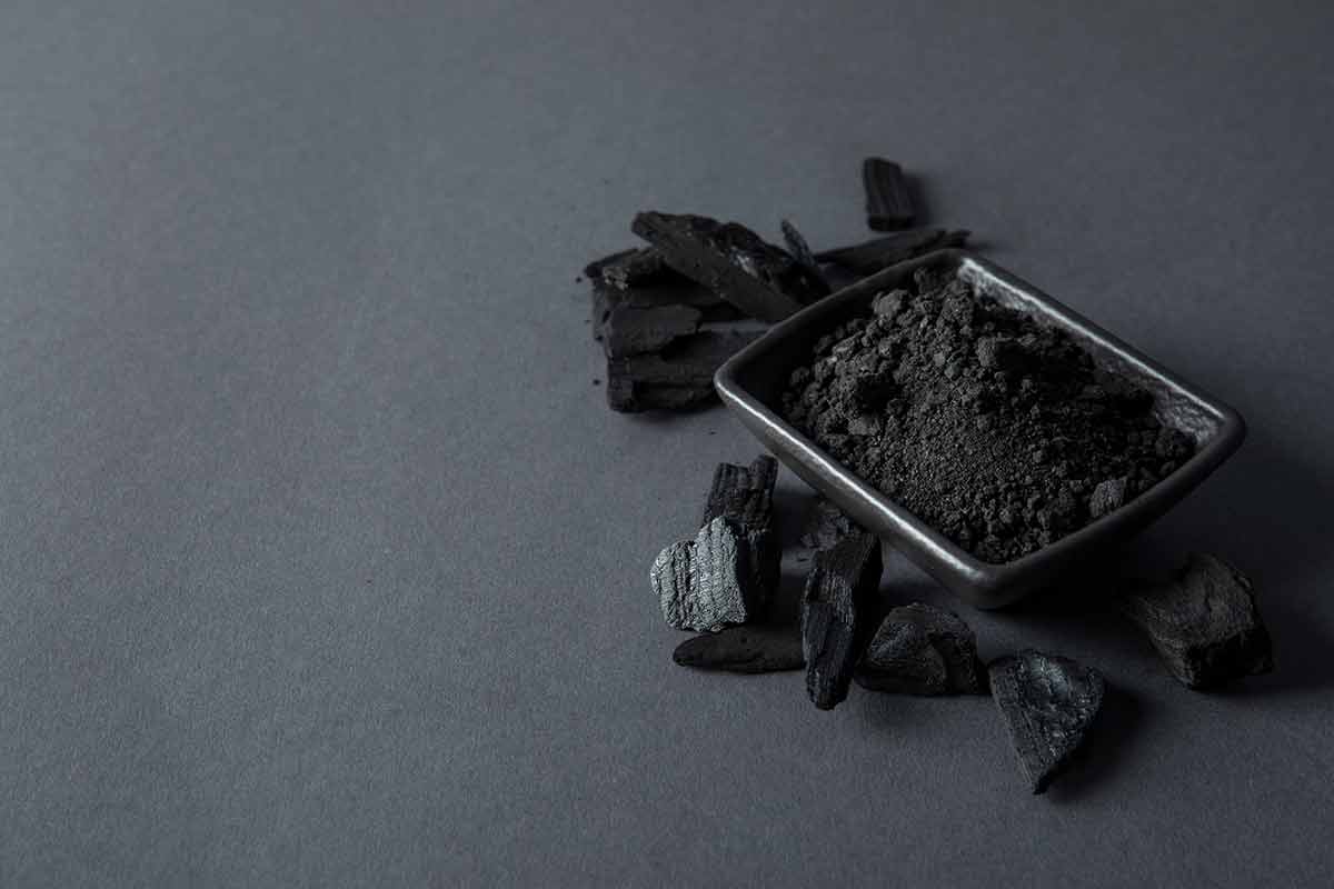 What Is Shilajit? The Ancient Himalayan Secret for Modern Health